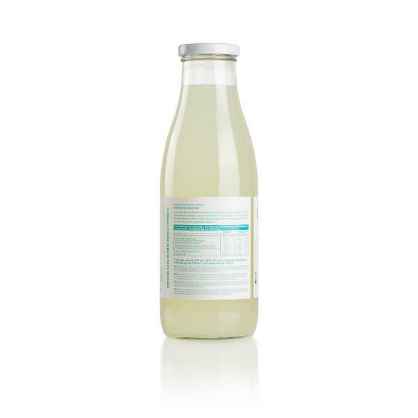 Limonada Ecológica