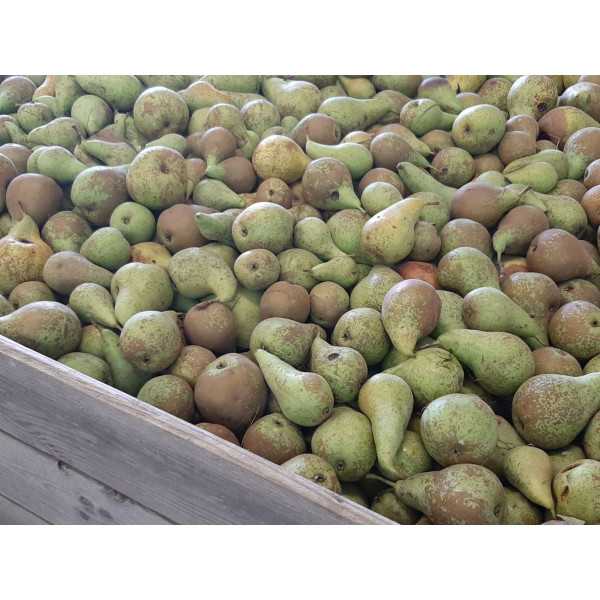 Puré de Pera y Manzana ecológicos