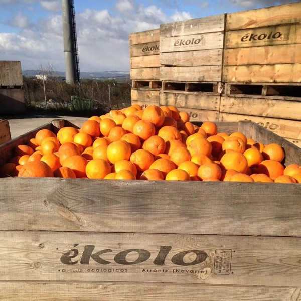 Mermelada de NARANJA Ecológica
